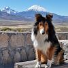 Kylie in the Altiplano (Volcanoes Pomerape and Parinacota in background)
